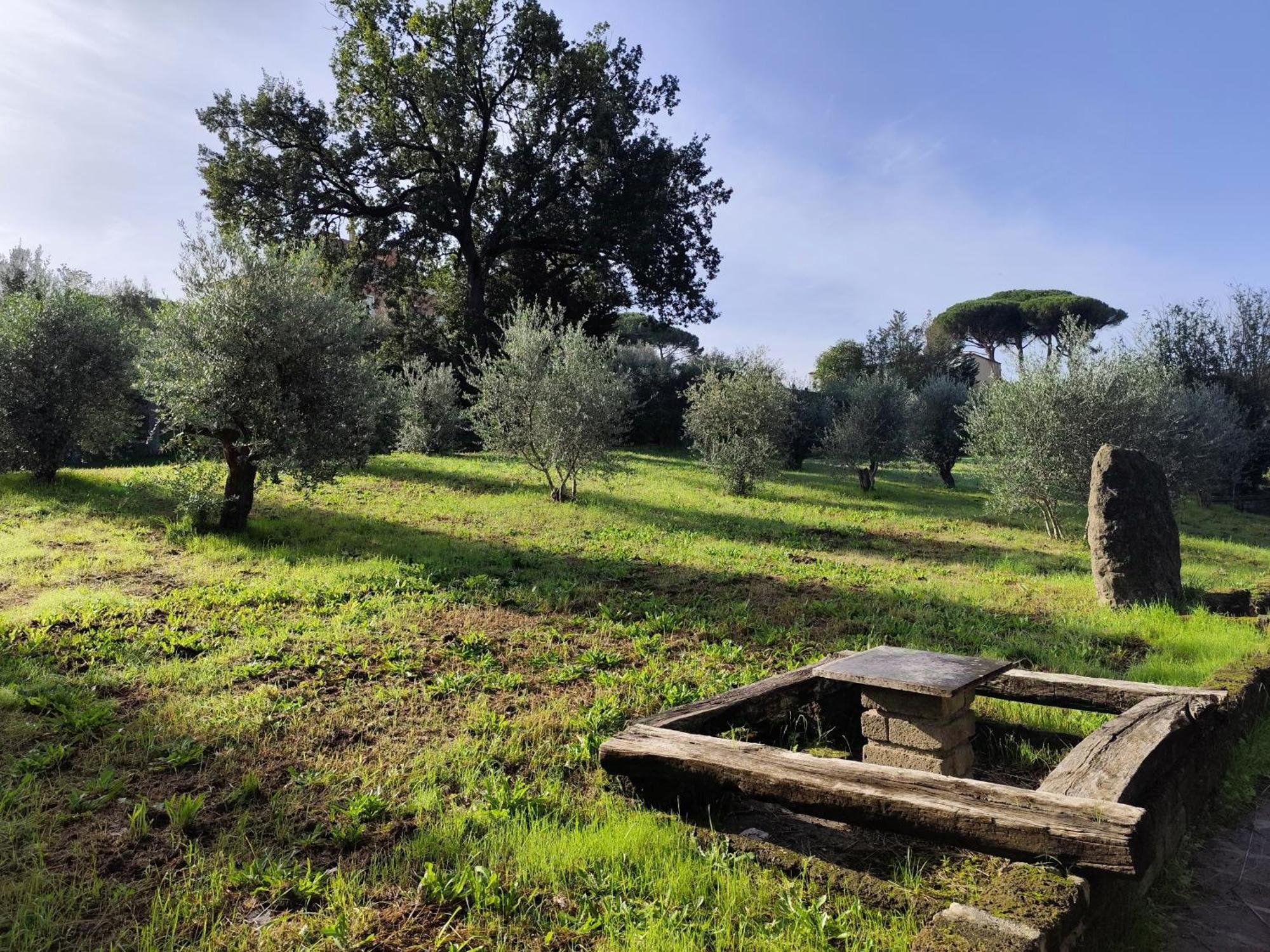 Green Hotel Poggio Regillo Фраскати Экстерьер фото